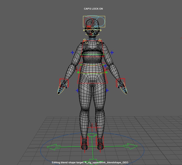 Character body rig